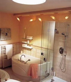 衛浴裝修效果圖 衛浴裝修